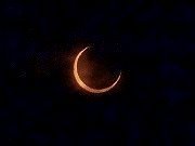 金環日食 - 1.jpg
