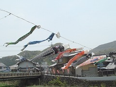 鯉のぼり- 4.jpg